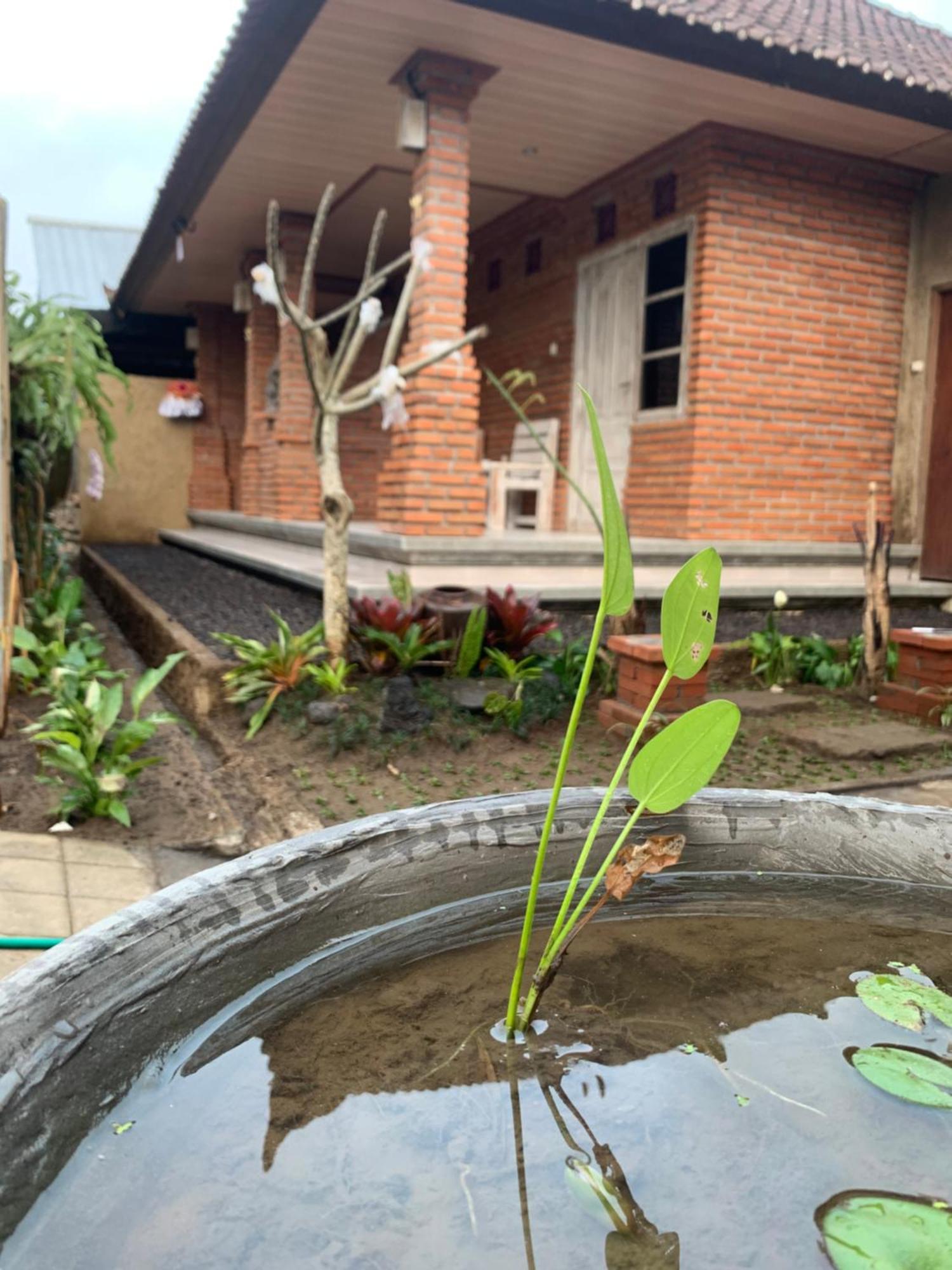 Ambara Guest House Tampaksiring Bagian luar foto